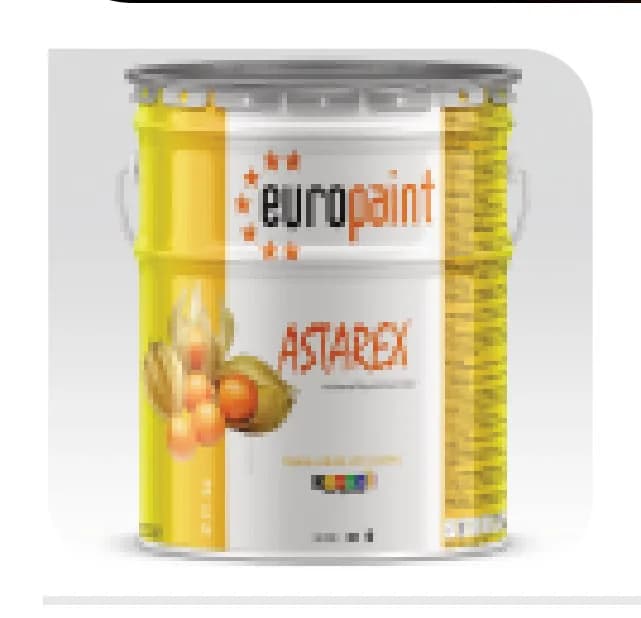 Europaint Poliüretan Tek Komponent Astarex