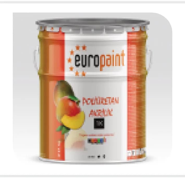 Europaint Poliüretan Tek Komponent Beyaz