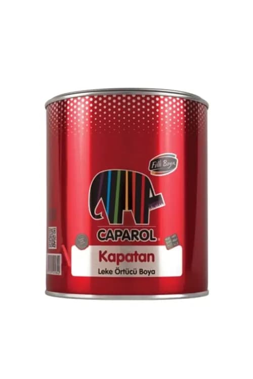Kapatan