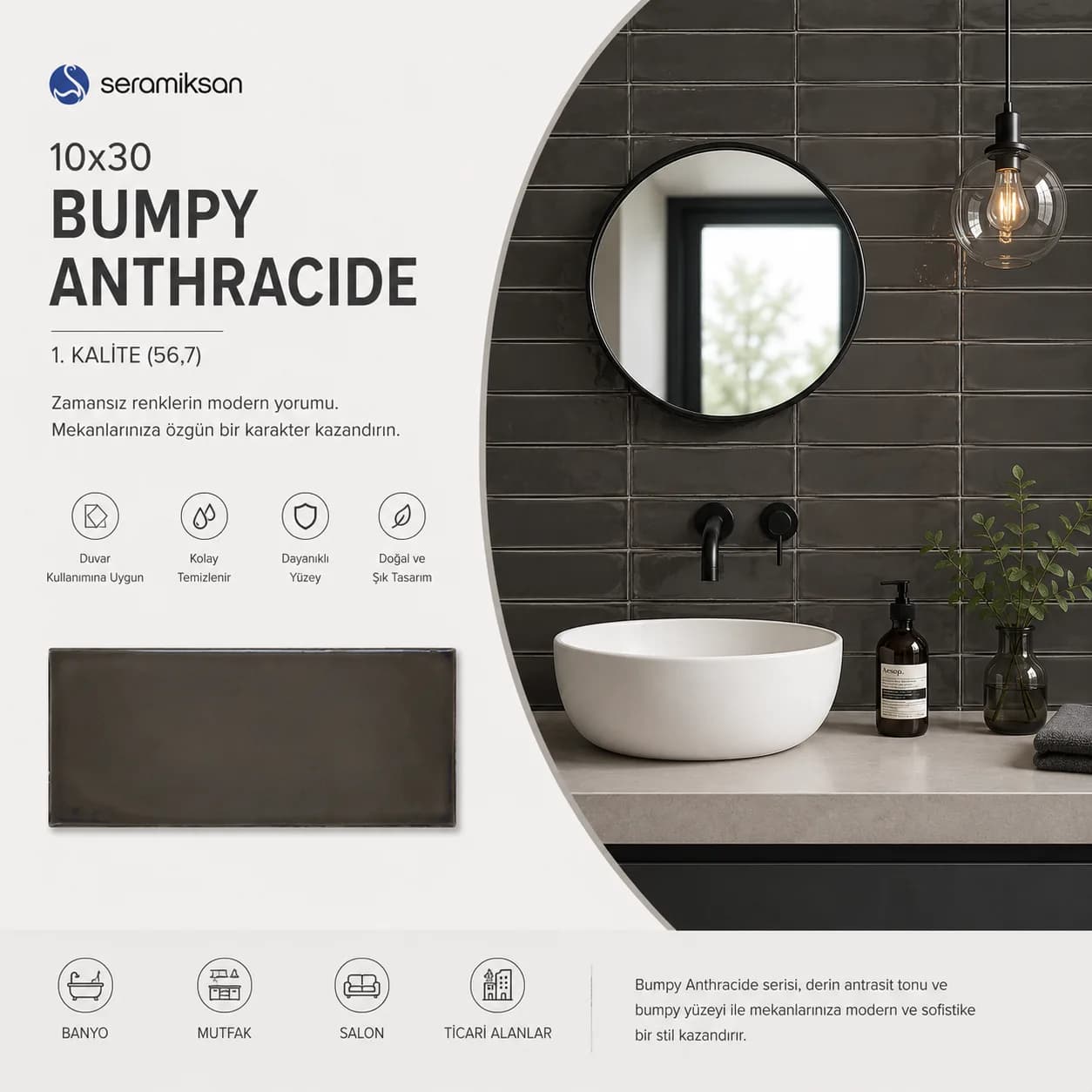 Bumpy Anthracide